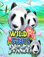 pgslot 889: เกมสล็อตน่าลองจากค่าย Jili